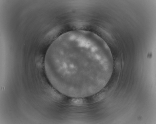 X0000090700181200708171854