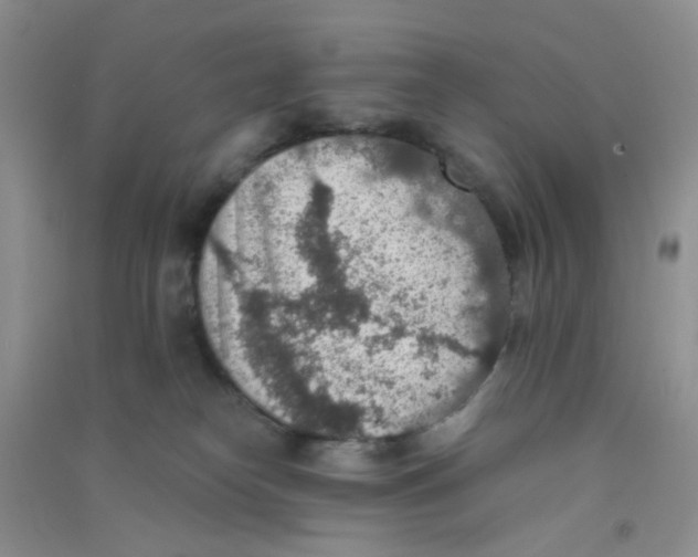 X0000090700182200708171854