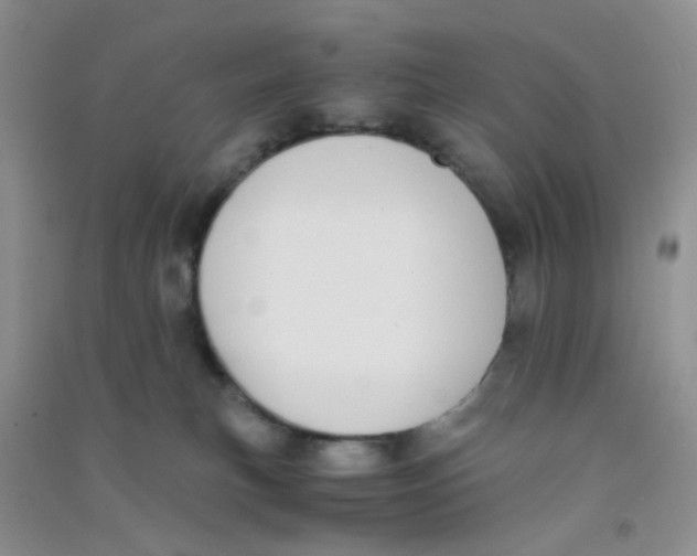 X0000090700183200708171854