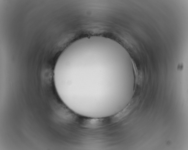 X0000090700184200708171854