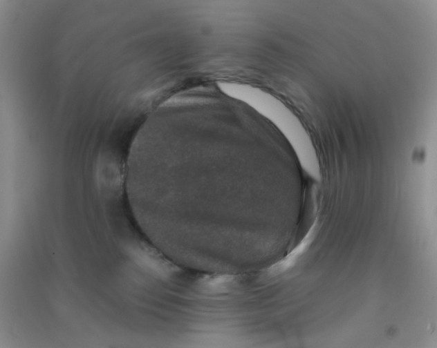 X0000090700186200708171854