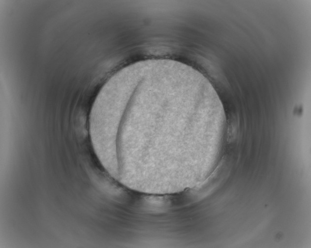 X0000090700187200708171854