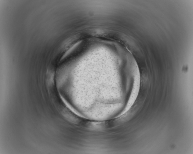 X0000090700188200708171854