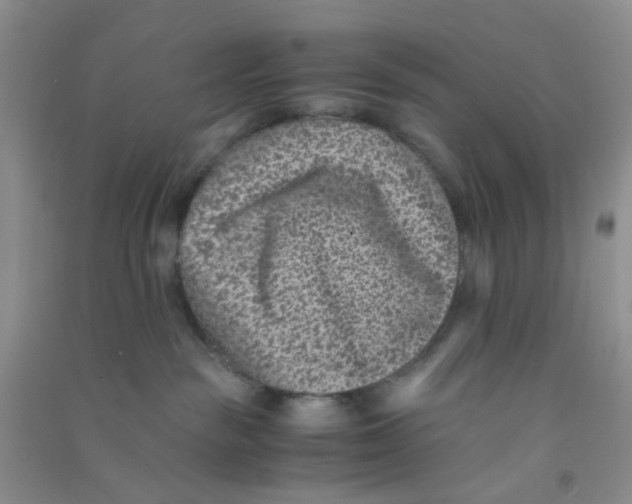 X0000090700189200708171854