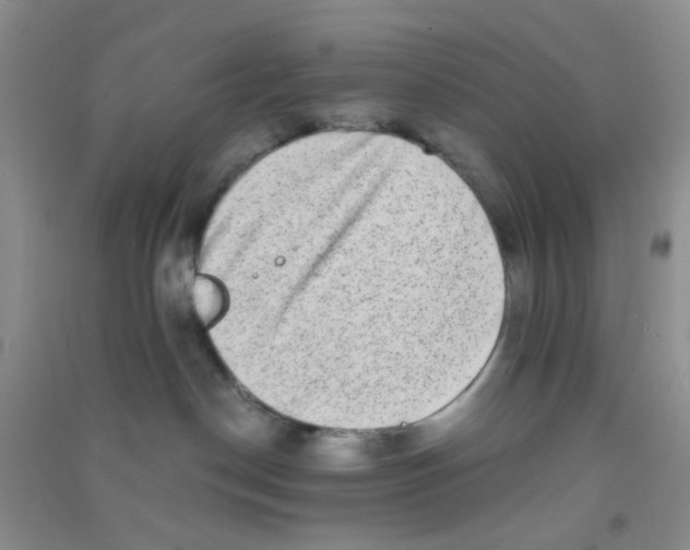 X0000090700190200708171854