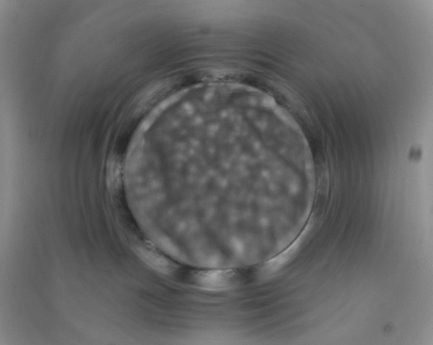 X0000090700191200708171854