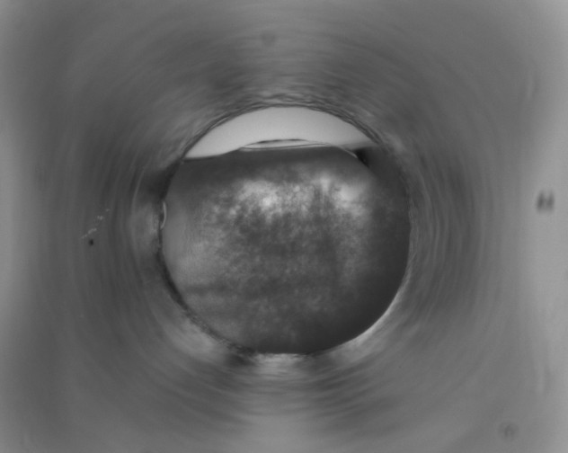 X0000090700192200708171854