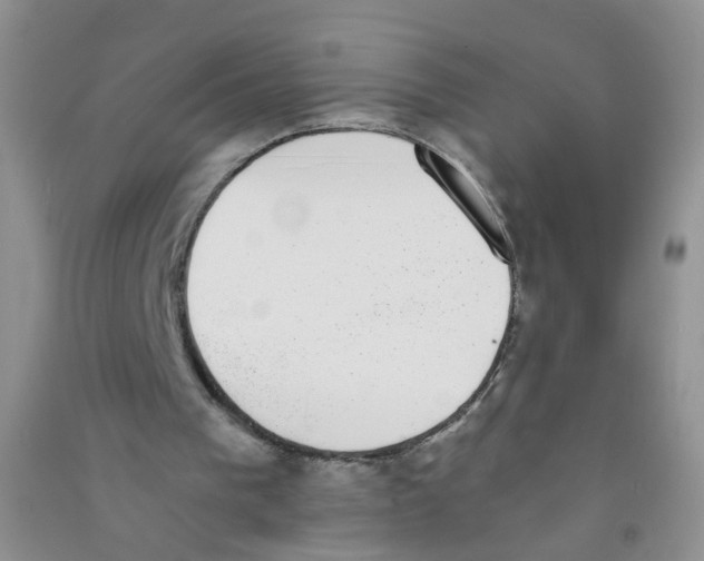 X0000090700193200708171853