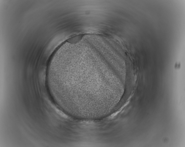 X0000090700194200708171853