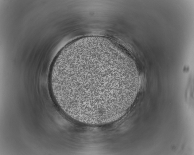 X0000090700195200708171853