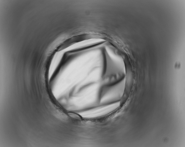 X0000090700197200708171853