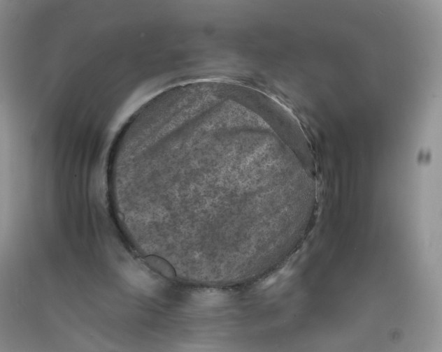 X0000090700198200708171853