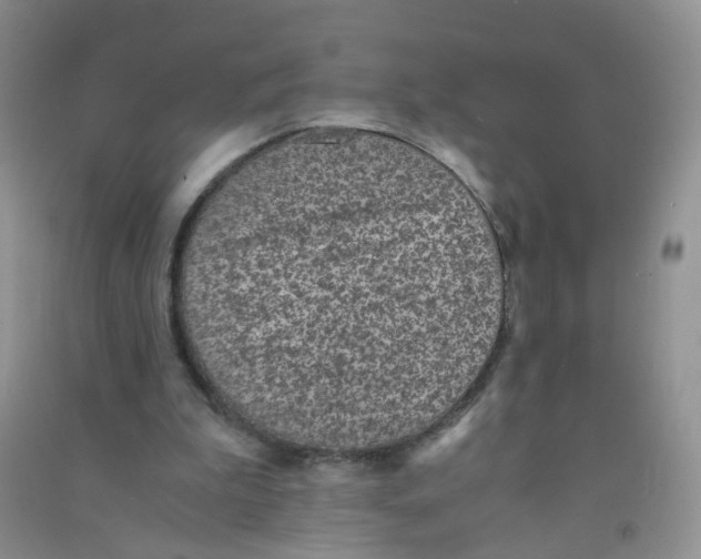 X0000090700199200708171853