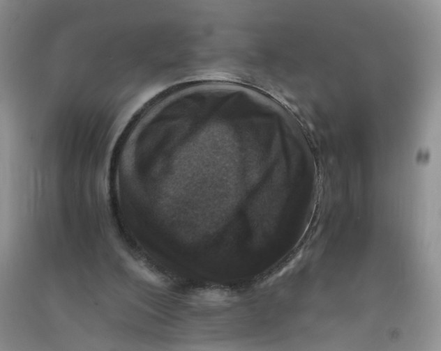 X0000090700200200708171853