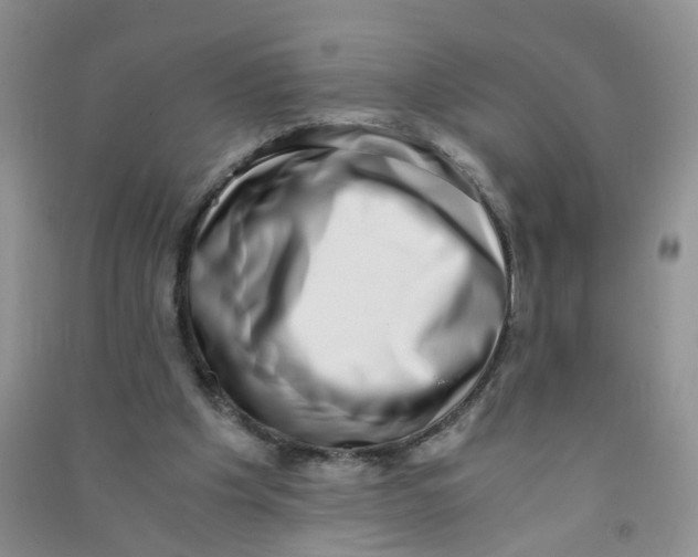 X0000090700201200708171853