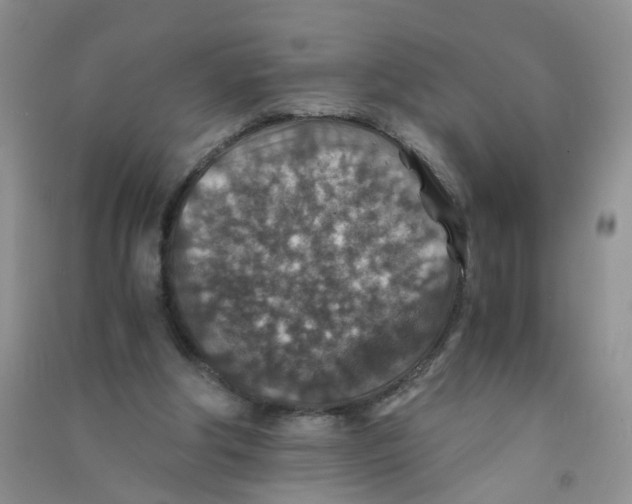 X0000090700202200708171853