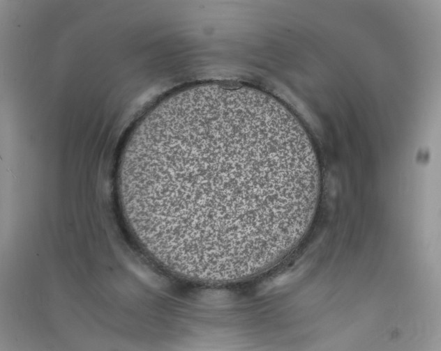 X0000090700203200708171853