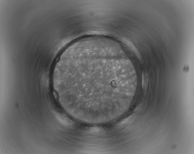 X0000090700204200708171853