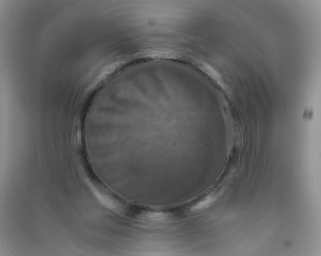 X0000090700205200708171853