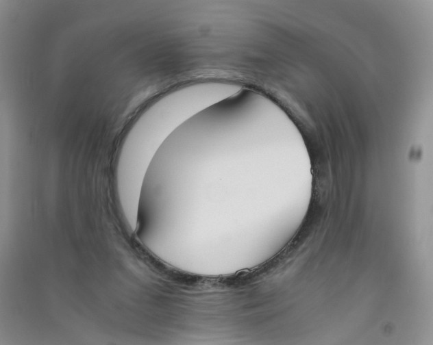 X0000090700207200708171853