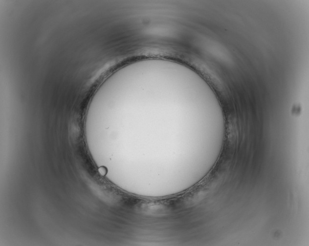 X0000090700208200708171853