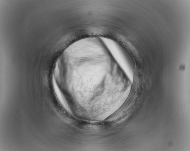 X0000090700209200708171853