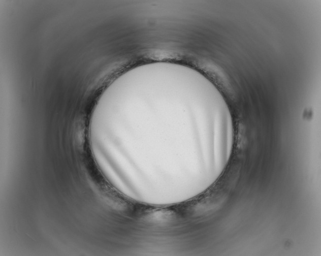 X0000090700210200708171853