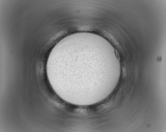 X0000090700211200708171853