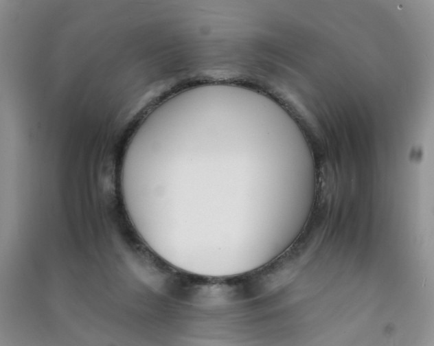 X0000090700212200708171853