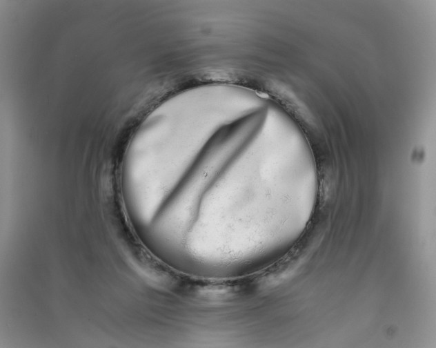 X0000090700213200708171853