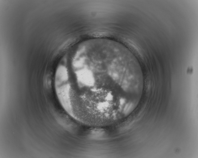 X0000090700214200708171853