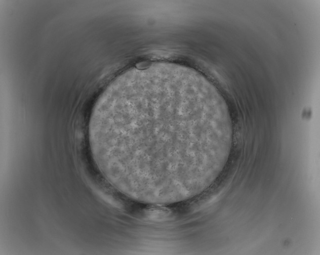 X0000090700215200708171853