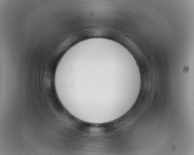 X0000090700216200708171853