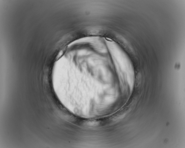 X0000090700217200708171853