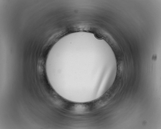 X0000090700218200708171853