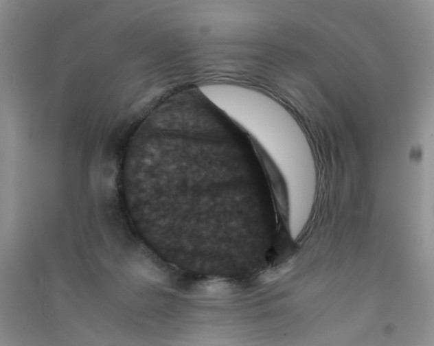 X0000090700219200708171853