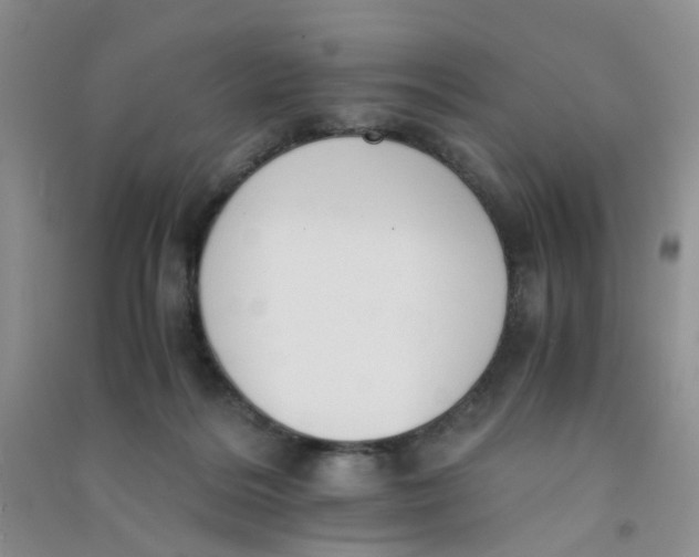 X0000090700220200708171853