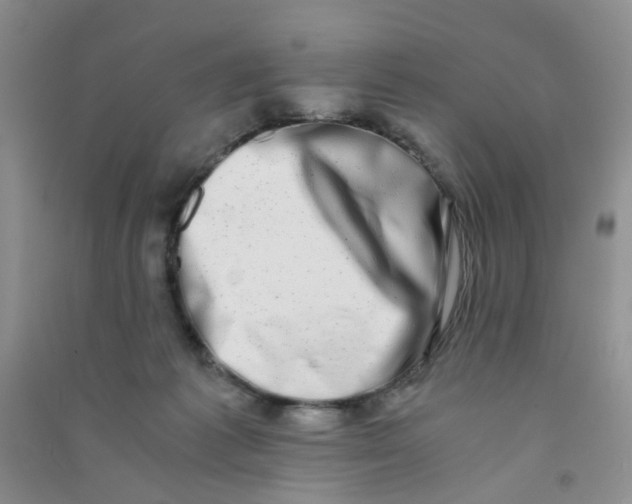 X0000090700221200708171853