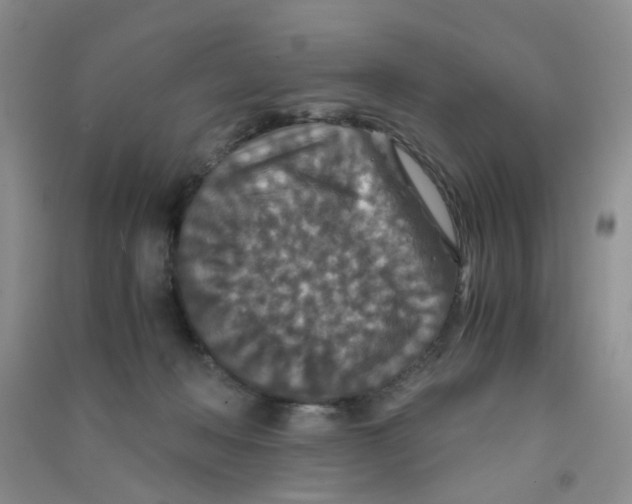 X0000090700222200708171853