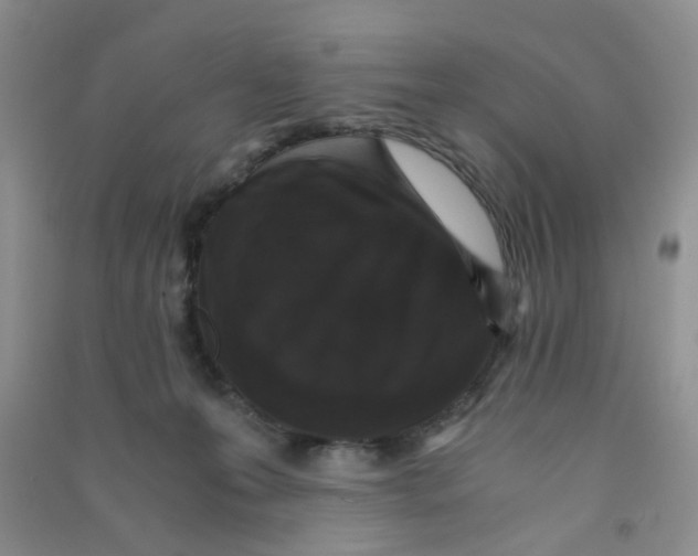 X0000090700223200708171853