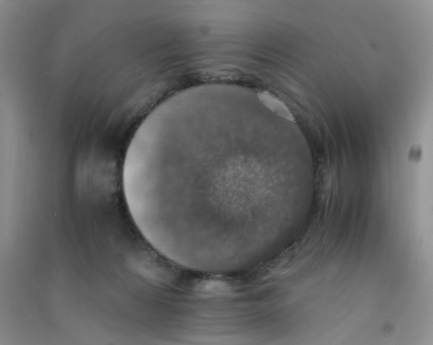 X0000090700224200708171853