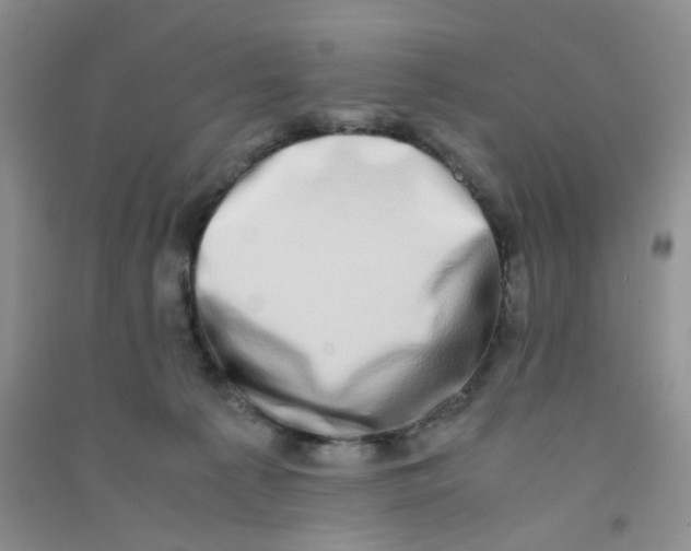 X0000090700225200708171853