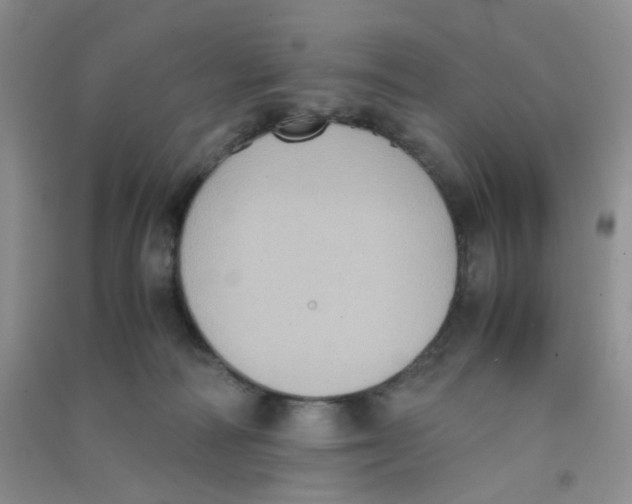 X0000090700226200708171853