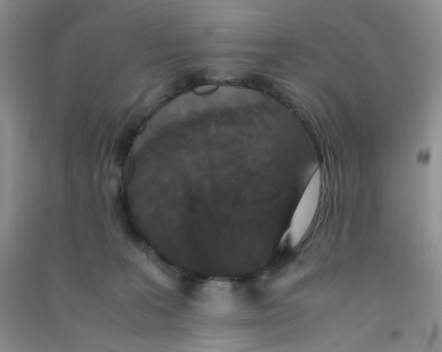 X0000090700227200708171853