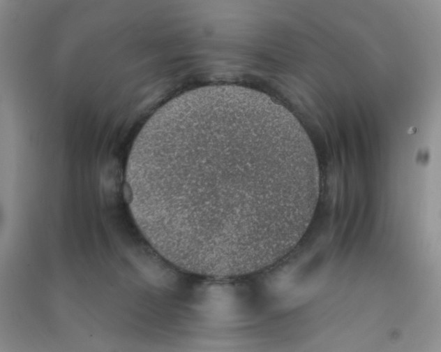 X0000090700228200708171853