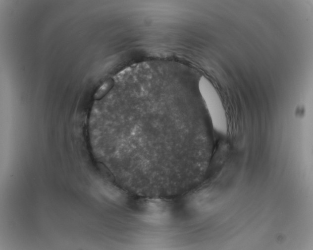 X0000090700229200708171853