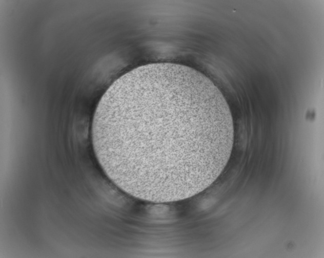 X0000090700230200708171853