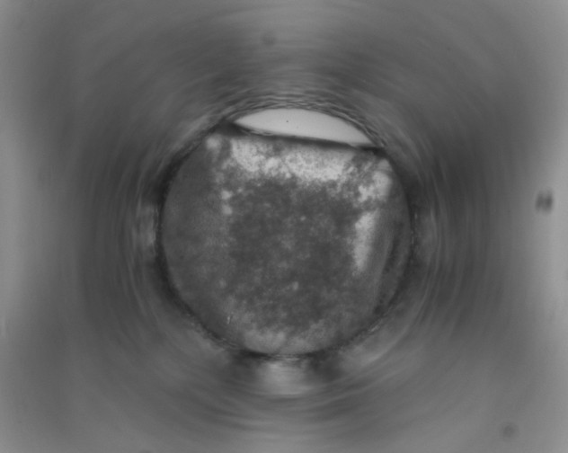 X0000090700232200708171853