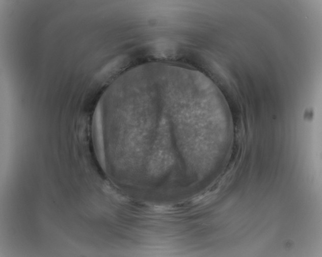 X0000090700233200708171853