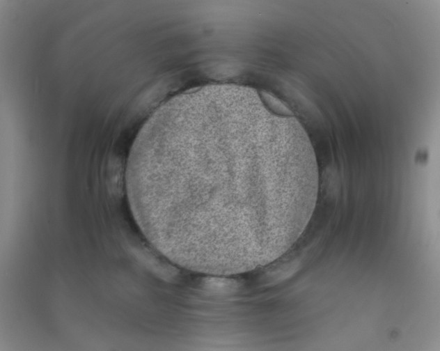 X0000090700234200708171853